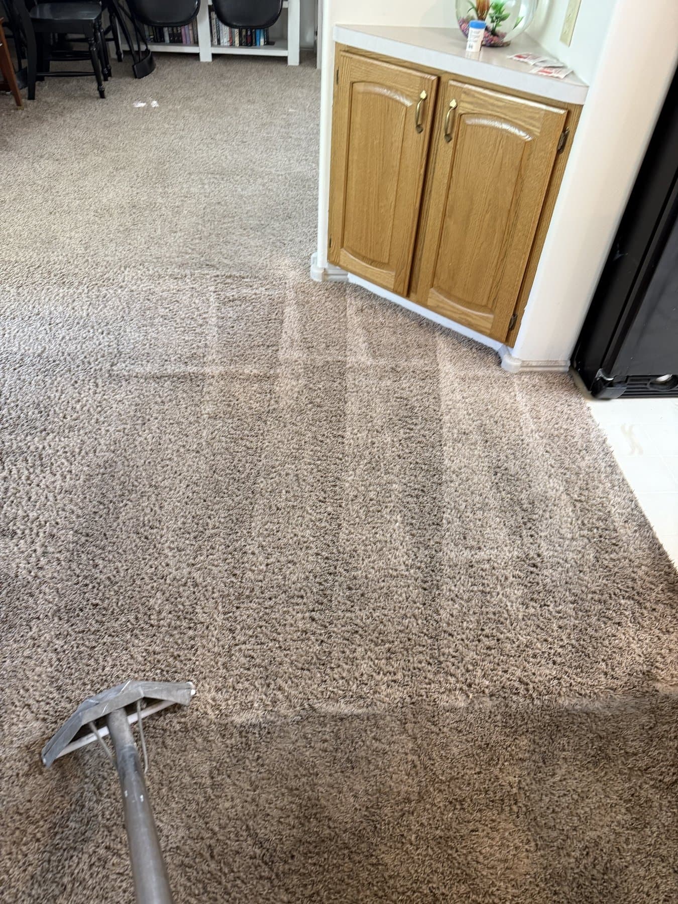 Carpet Cleaning in Idaho Falls' Stonebrook Neighborhood — after