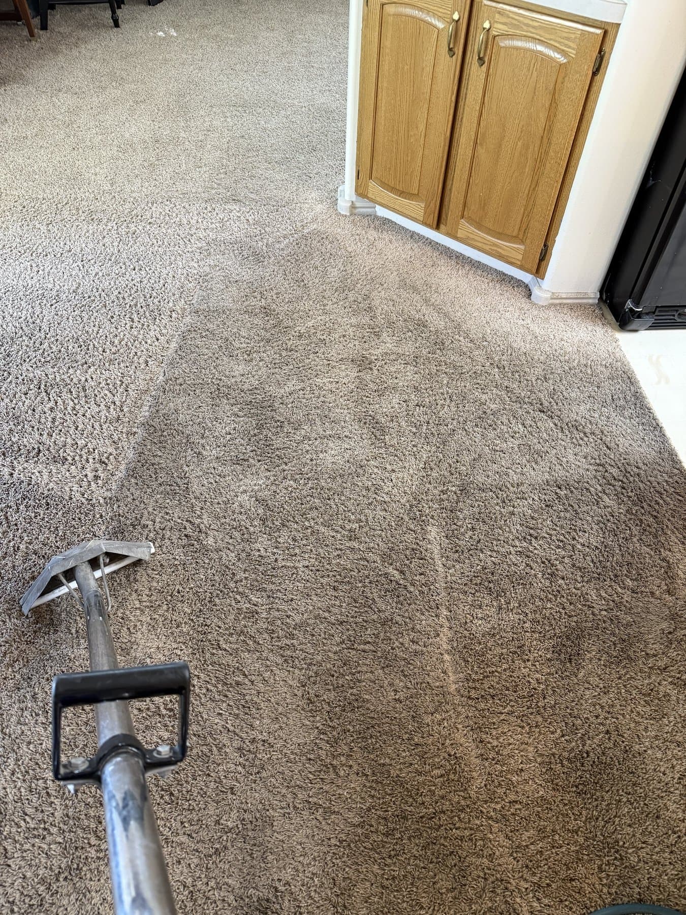 Carpet Cleaning in Idaho Falls' Stonebrook Neighborhood — before