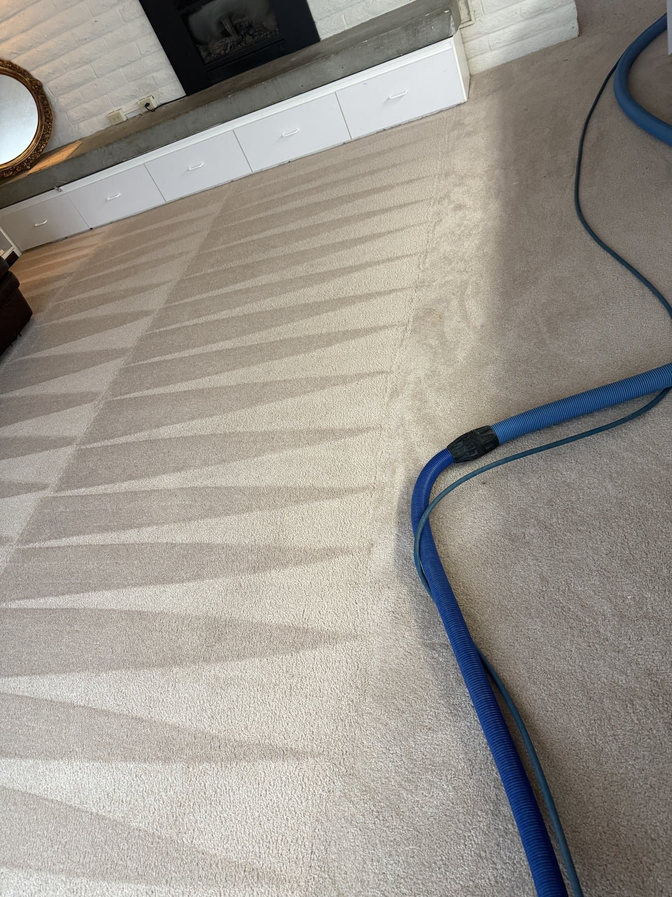 Pet Odor Treatment & Carpet Cleaning in Idaho Falls — after