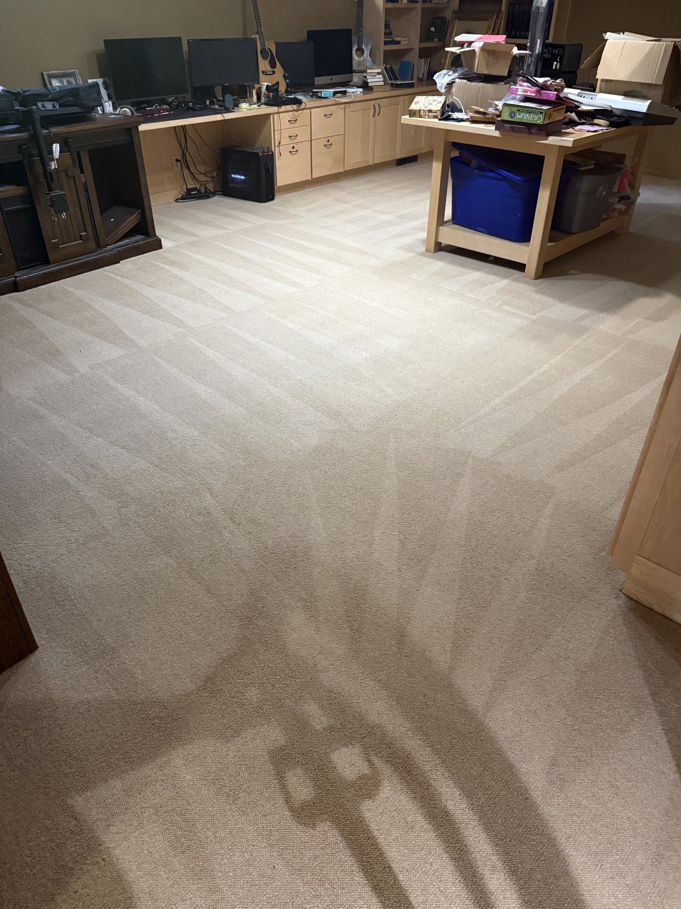 Pet Odor Treatment & Carpet Cleaning in Idaho Falls — after
