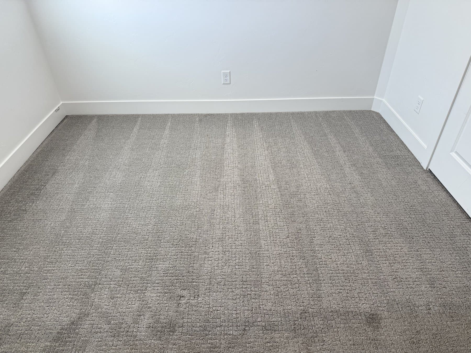 Pet Odor Treatment & Carpet Cleaning in Idaho Falls, ID — after