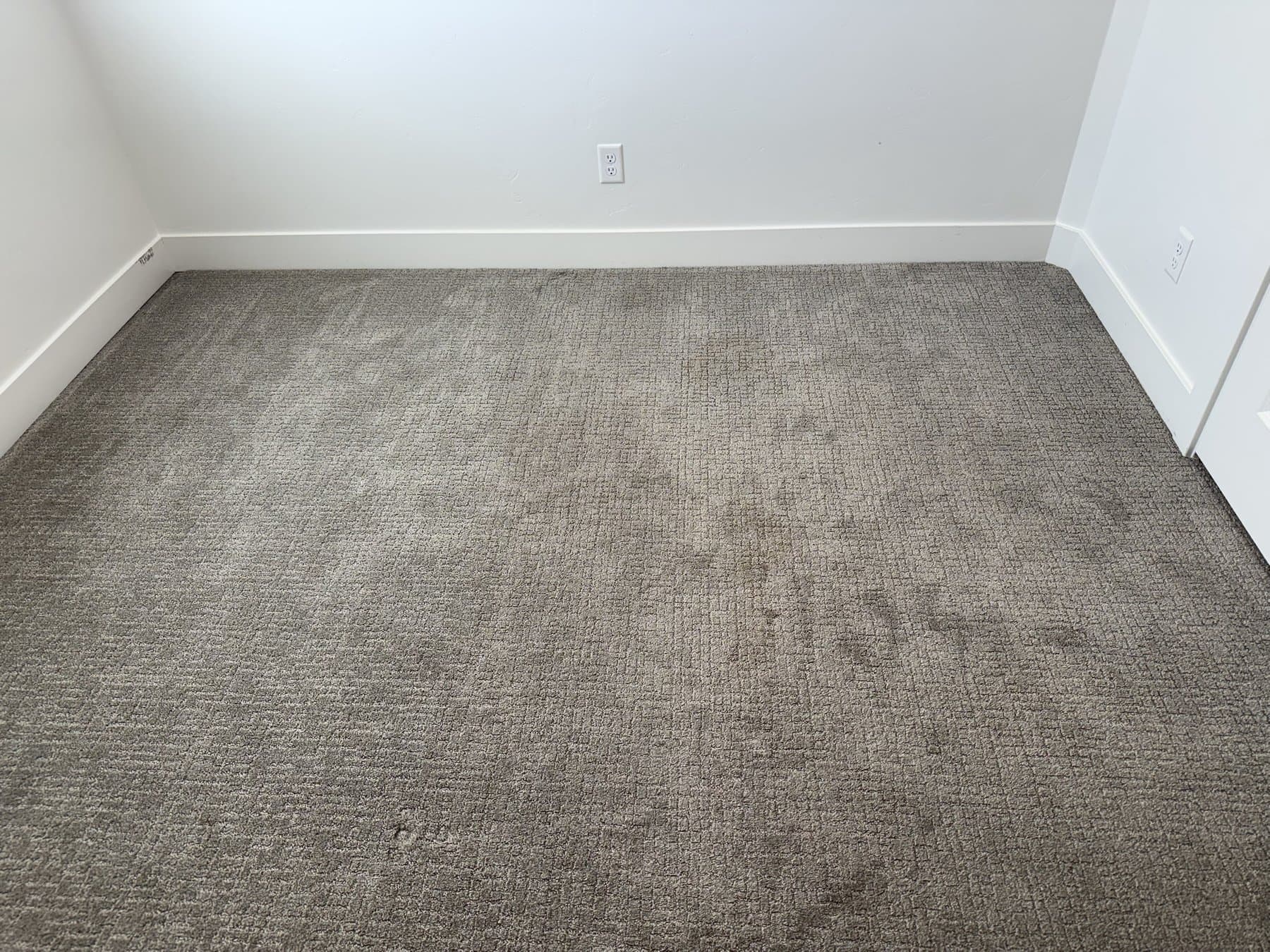 Pet Odor Treatment & Carpet Cleaning in Idaho Falls, ID — before
