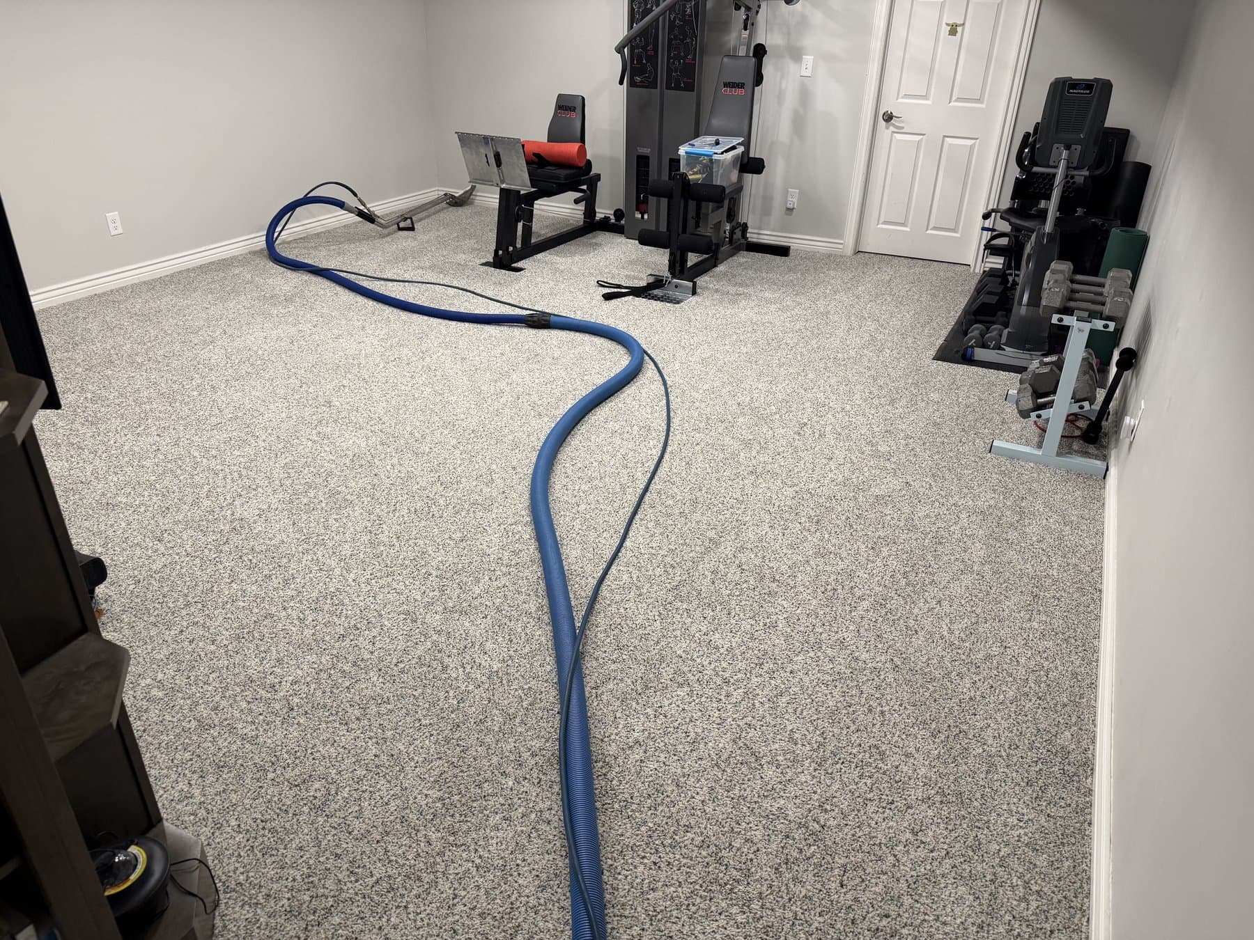 Pet Odor Treatment & Carpet Cleaning in Idaho Falls' Stonebrook Neighborhood — before