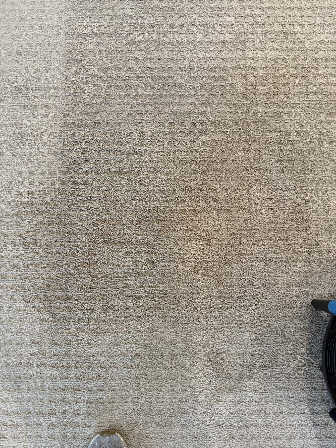 Red Wine Stain Removal in Rexburg, ID — after