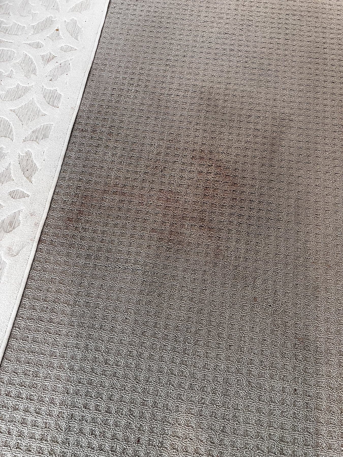 Red Wine Stain Removal in Rexburg, ID — before