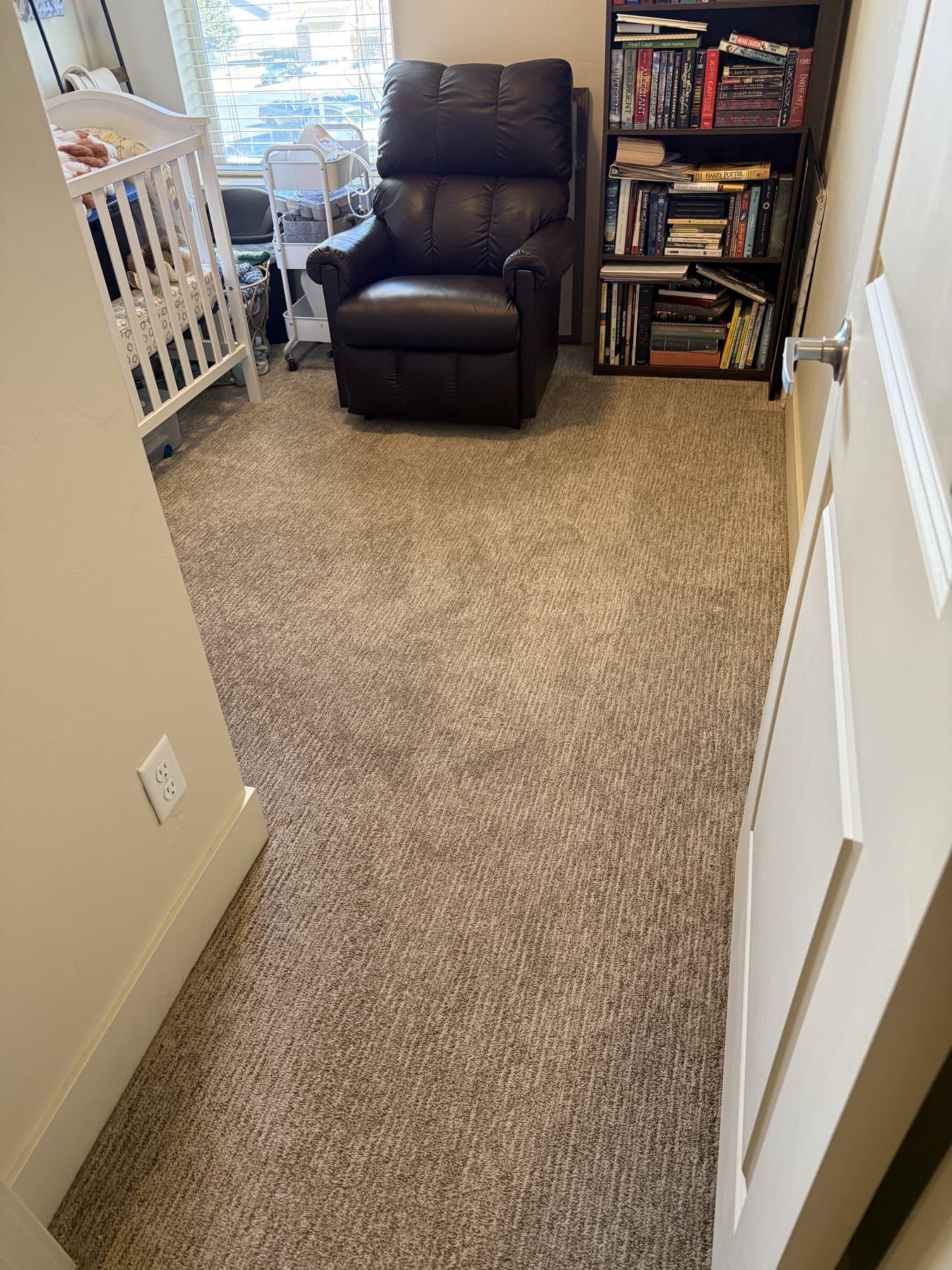 Carpet Cleaning in Idaho Falls, ID — before