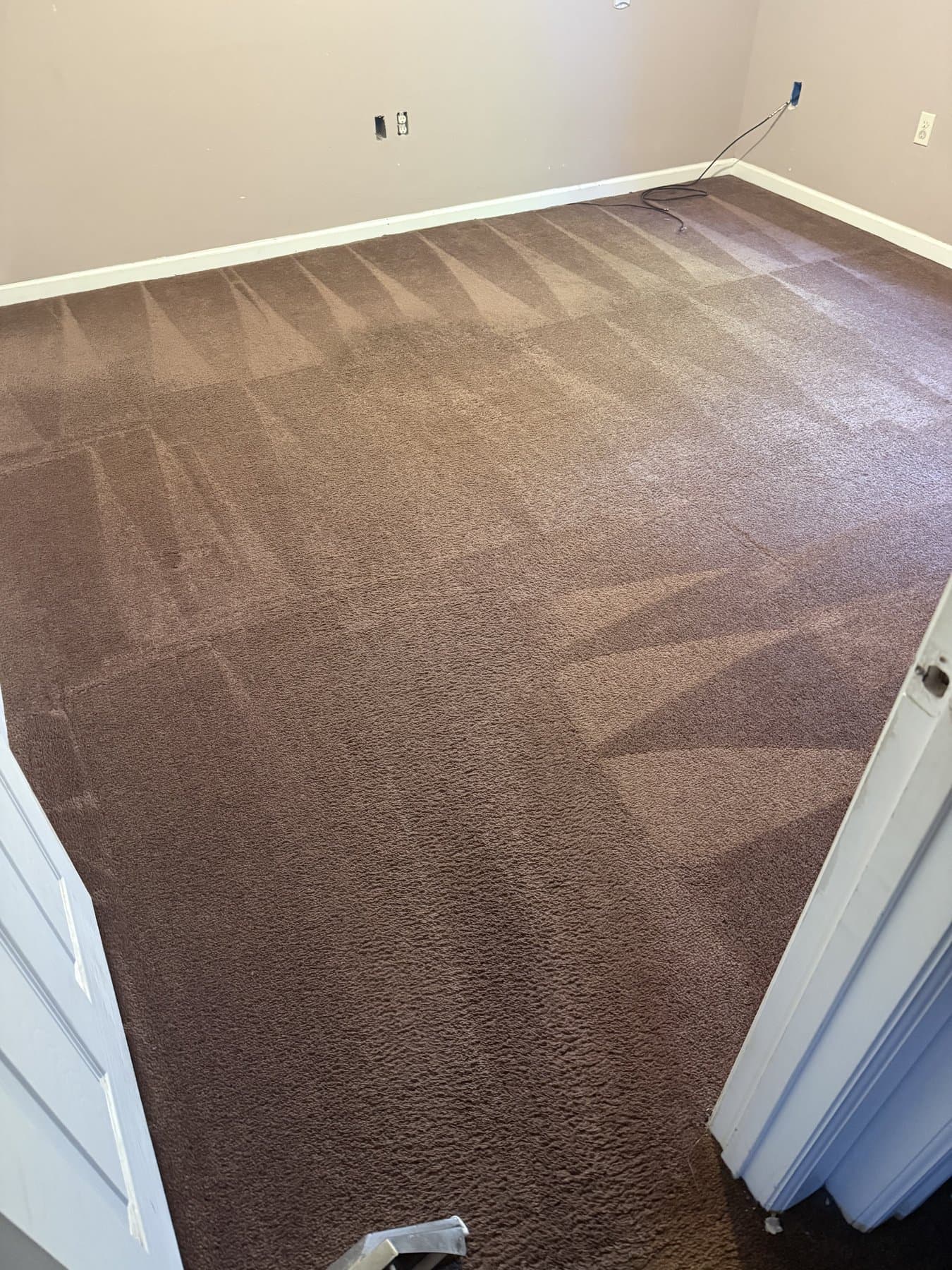 Carpet Cleaning in Pocatello, ID — after