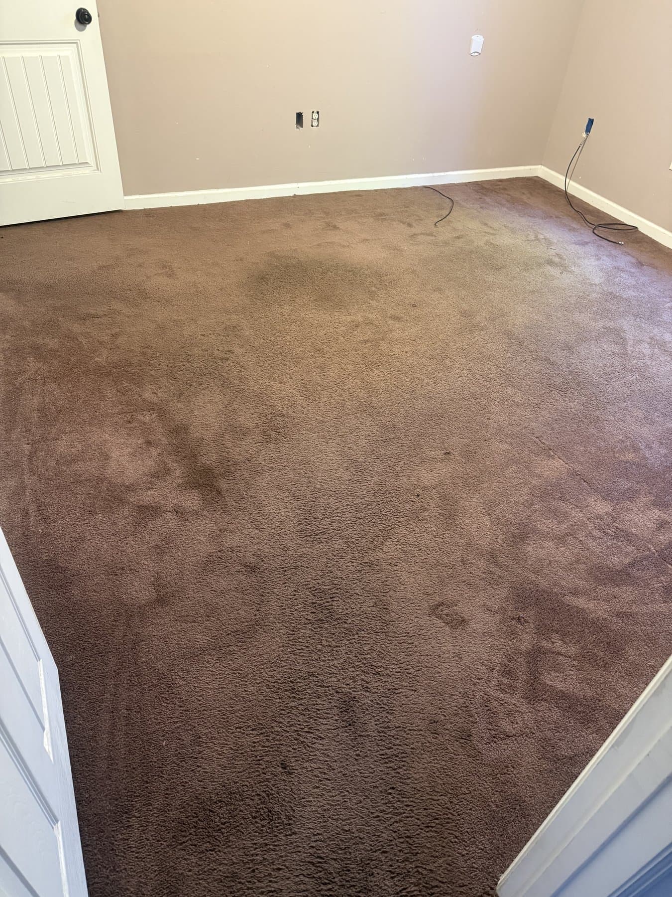 Carpet Cleaning in Pocatello, ID — before