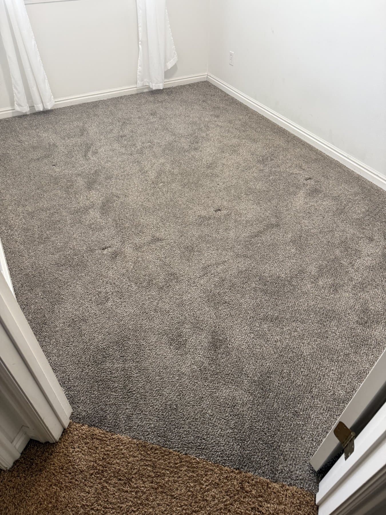 Carpet Cleaning in Rexburg, ID — before