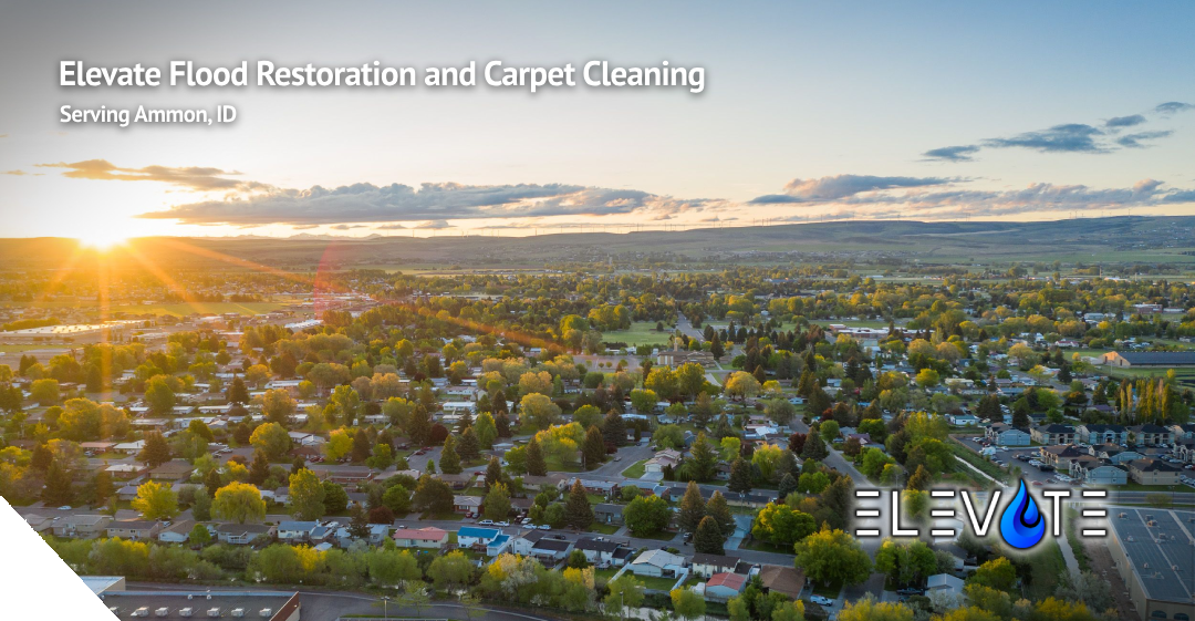 Elevate Flood Restoration and Carpet Cleaning serving Peabody MA