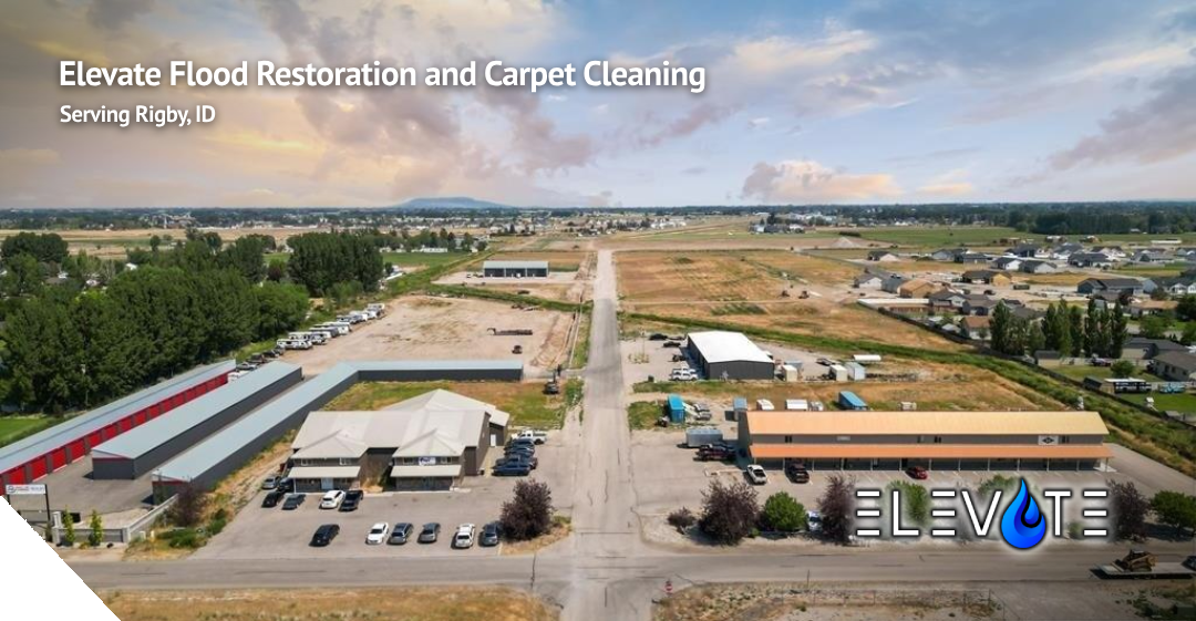 Elevate Flood Restoration and Carpet Cleaning serving Peabody MA