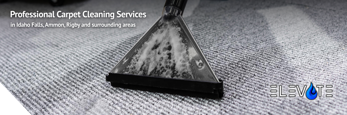 Carpet Cleaning Services in Idaho Falls, Ammon, and Rigby, ID