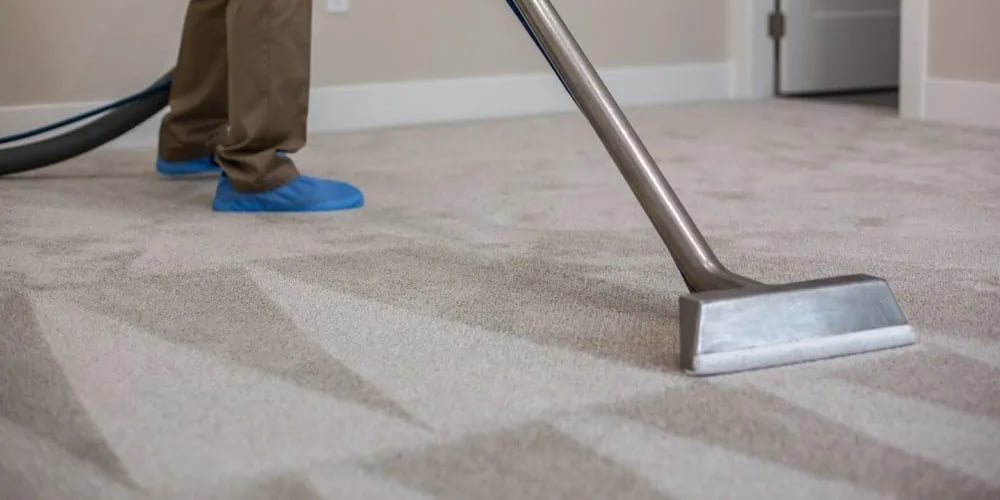 Carpet Cleaning Services in Idaho Falls, Ammon, and Rigby, ID