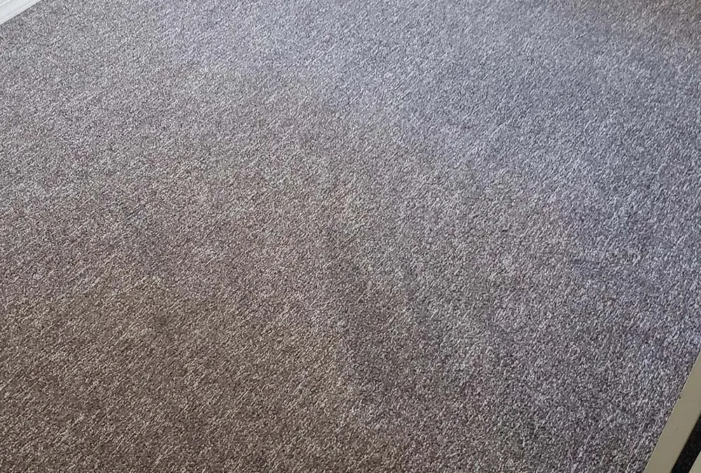 Deep Carpet Cleaning: Proven Methods to Remove Tough Stains in Idaho Falls