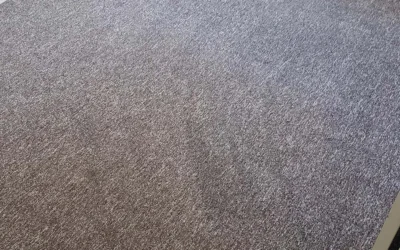 Deep Carpet Cleaning: Proven Methods to Remove Tough Stains in Idaho Falls
