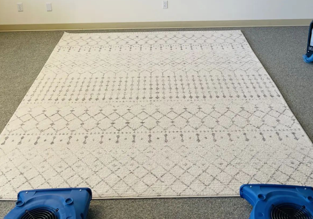Area Rug Cleaning Services in Idaho Falls, Ammon, and Rigby, ID