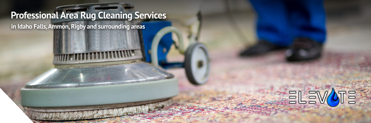 Area Rug Cleaning Services in Idaho Falls, Ammon, and Rigby, ID