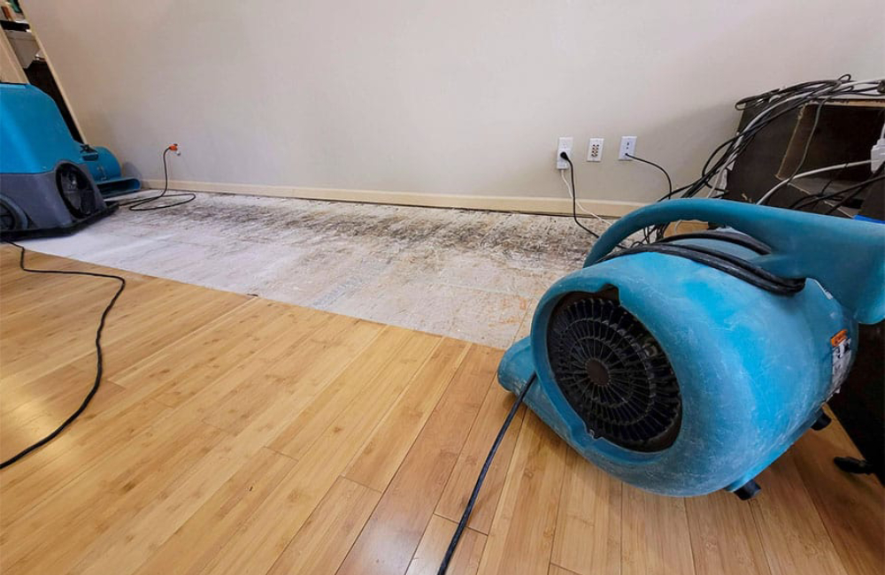 elevate-serivce-flood-restoration-img01