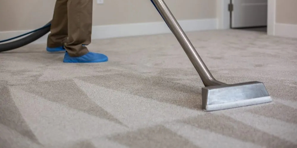 elevate-service-carpet-cleaning-img01 Carpet Cleaning Services in Idaho Falls, Ammon, and Rigby, ID