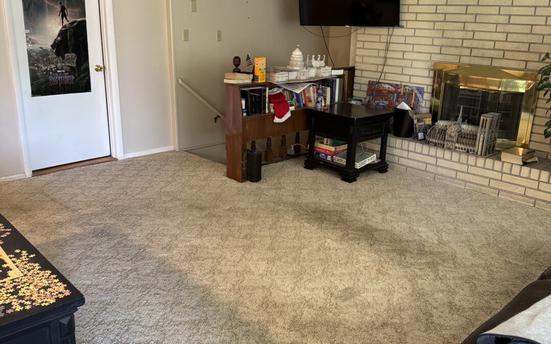 Carpet Cleaning in Pocatello, Idaho – Stunning Results
