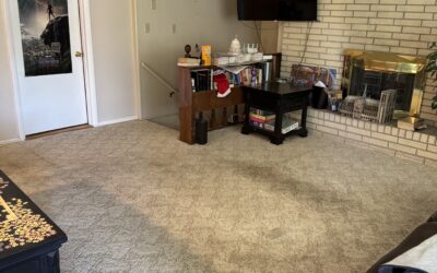 Carpet Cleaning in Pocatello, Idaho – Stunning Results