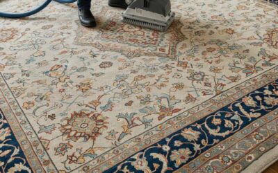 Expert Area Rug Cleaning Services: Revitalize Your Rugs in Idaho
